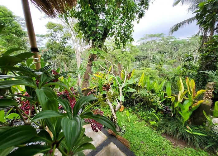 Bb House Ubud * Tegallalang (Bali)