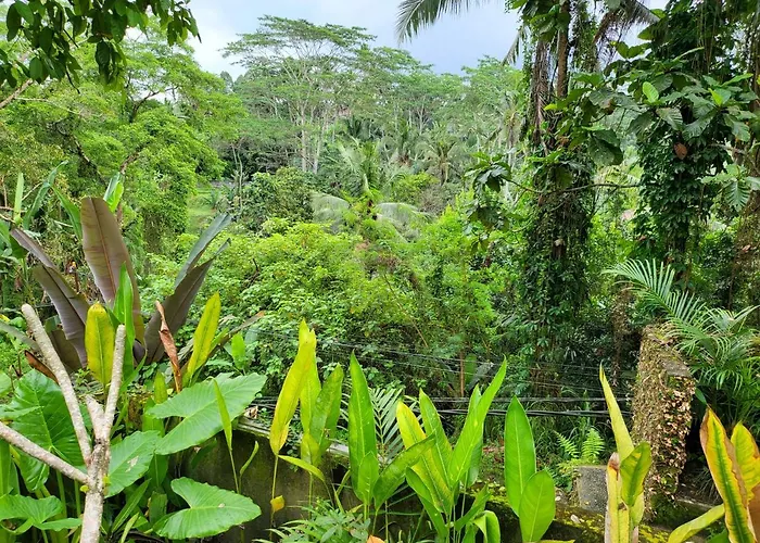 Bb House Ubud Bed & Breakfast Tegallalang (Bali)