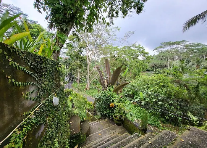 Bb House Ubud Tegallalang (Bali)